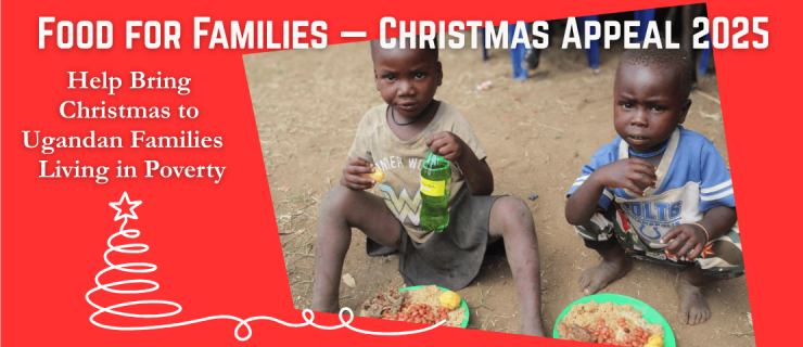 Just Giving appeal 2025 final 4 (1110 x 480 px).png