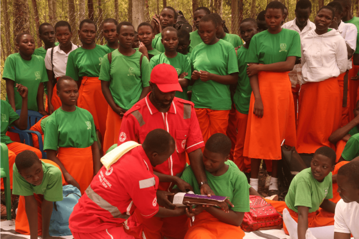 Red cross (2).png
