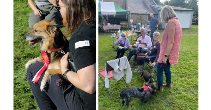 Dog show 2026 (1640 x 856 px).jpg