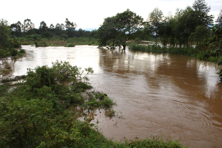 Flooded river 0600.jpg